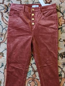 NWT Loft 6 velvet pants